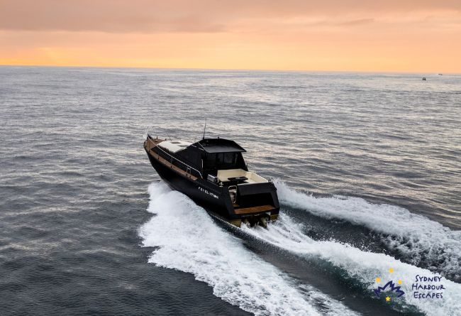 03   REVELATION 2026 